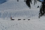 gal/diverses/Iglu2012/_thb_DSC02591.JPG