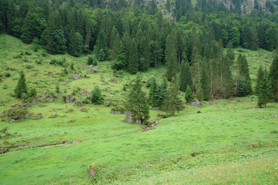 gal/diverses/Ijental08/DSC01649.JPG