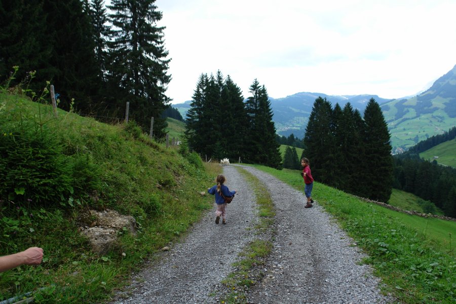 gal/diverses/Ijental08/DSC01653.JPG