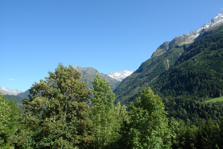gal/diverses/Interlaken/DSC08900.JPG