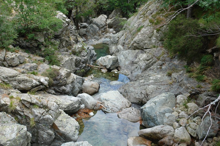 gal/diverses/Korsika10/DSC05149.JPG
