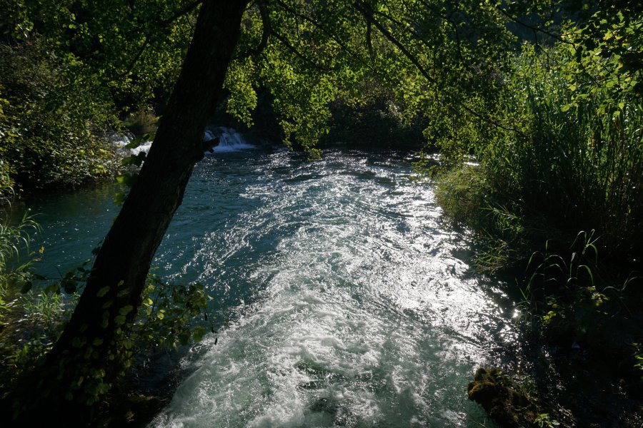 gal/diverses/Kroatien2016/DSC07814.JPG