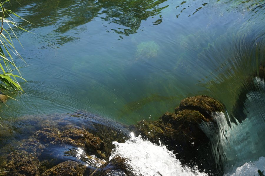 gal/diverses/Kroatien2016/DSC07823.JPG