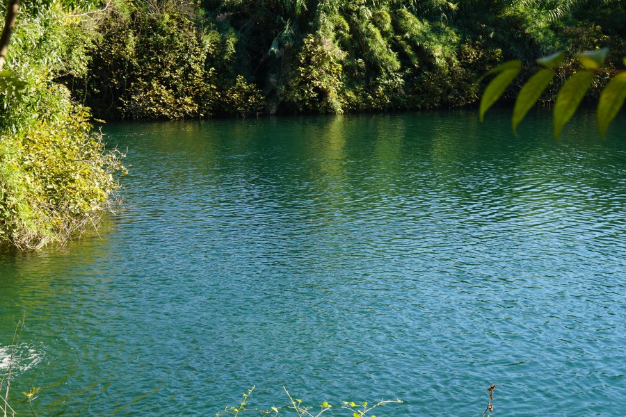 gal/diverses/Kroatien2016/DSC07840.JPG