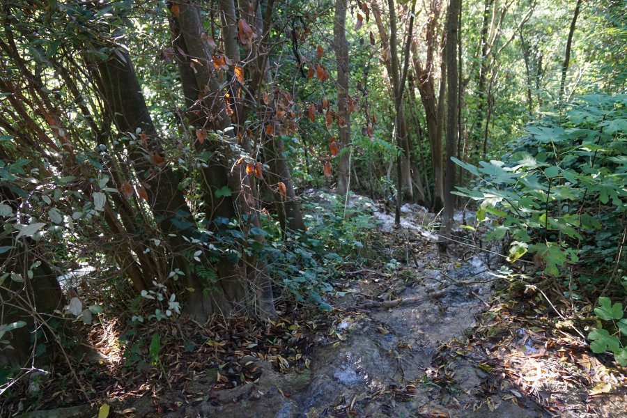 gal/diverses/Kroatien2016/DSC07853.JPG