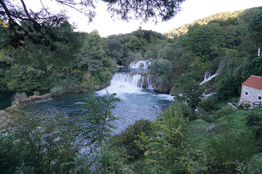 gal/diverses/Kroatien2016/DSC07899.JPG