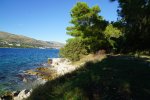 gal/diverses/Kroatien2016/_thb_DSC07777.JPG