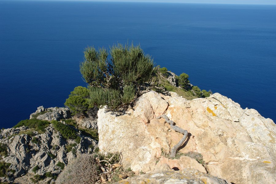 gal/diverses/Mallorca13/DSC09786.JPG