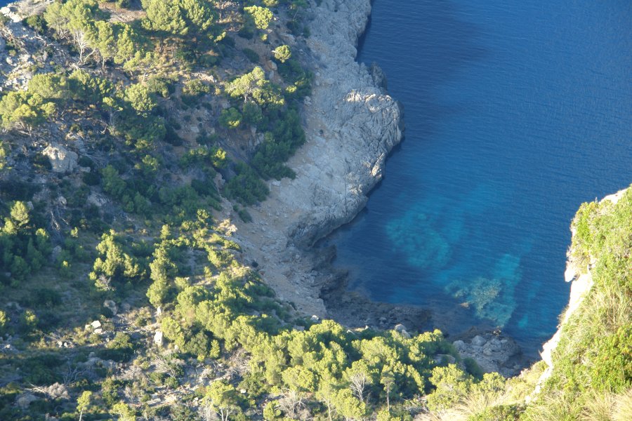 gal/diverses/Mallorca13/DSC09800.JPG