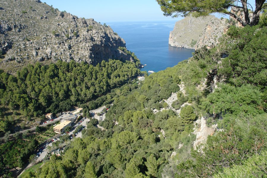 gal/diverses/Mallorca13/DSC09866.JPG