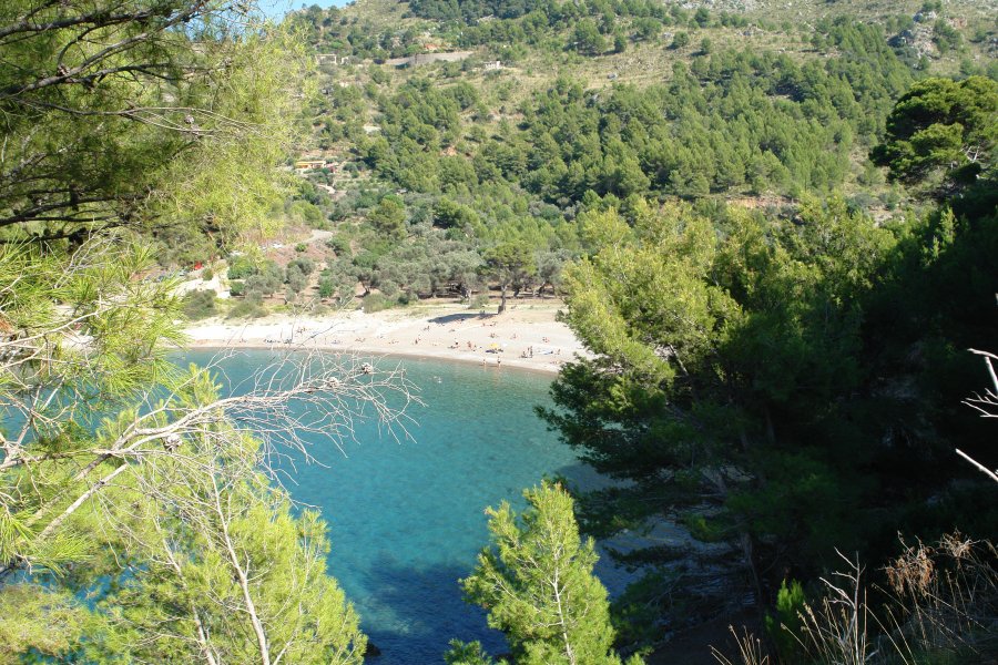 gal/diverses/Mallorca13/DSC09884.JPG