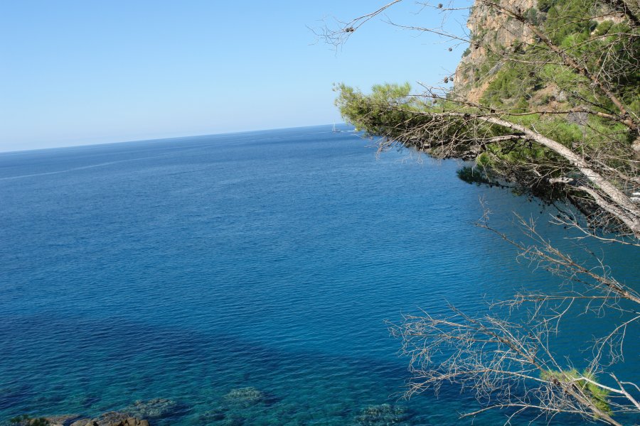 gal/diverses/Mallorca13/DSC09885.JPG