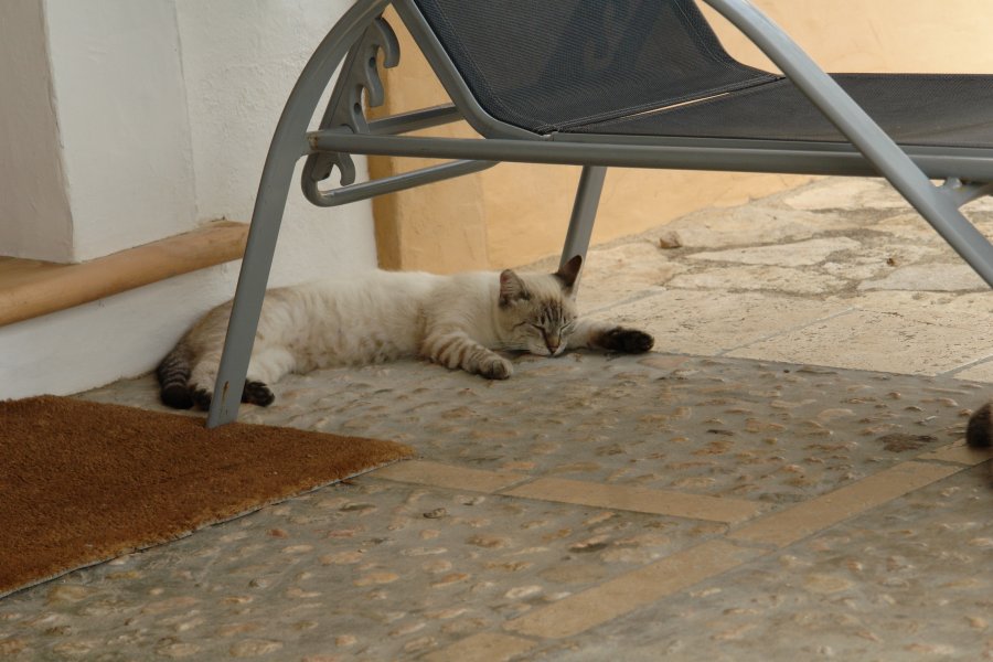 gal/diverses/Mallorca13/DSC09924.JPG