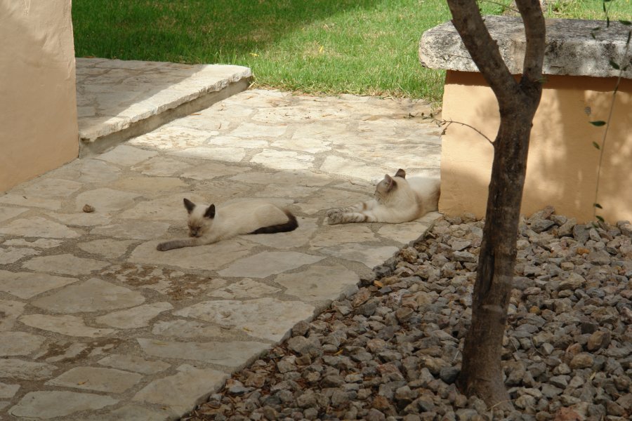 gal/diverses/Mallorca13/DSC09971.JPG