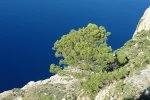 gal/diverses/Mallorca13/_thb_DSC09765.JPG