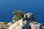 gal/diverses/Mallorca13/_thb_DSC09781.JPG