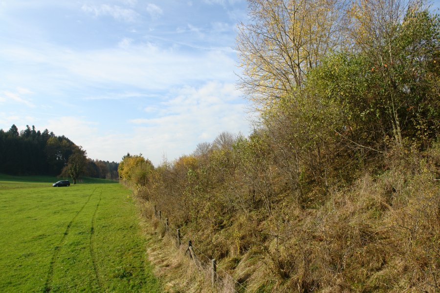 gal/diverses/Naturschutzverein/2008/Einsatz_08112008/DSC03224.JPG