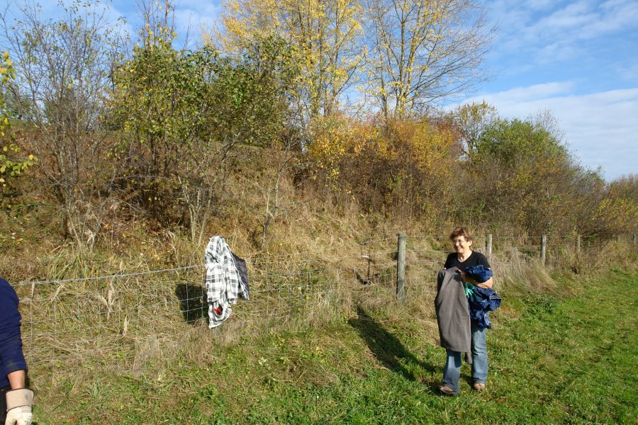 gal/diverses/Naturschutzverein/2008/Einsatz_08112008/DSC03225.JPG