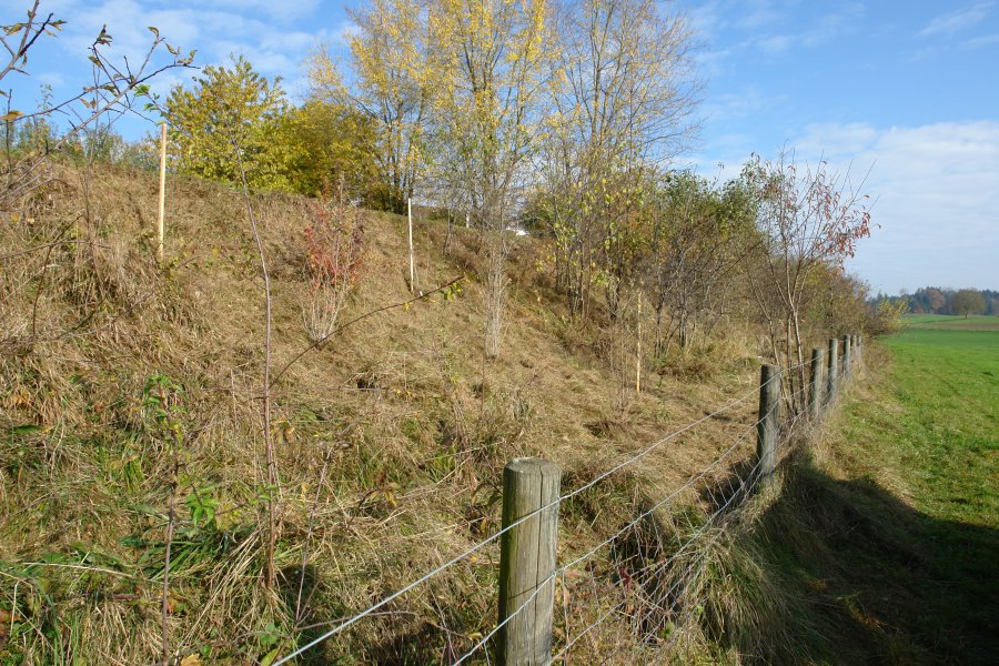 gal/diverses/Naturschutzverein/2008/Einsatz_08112008/DSC03234.JPG