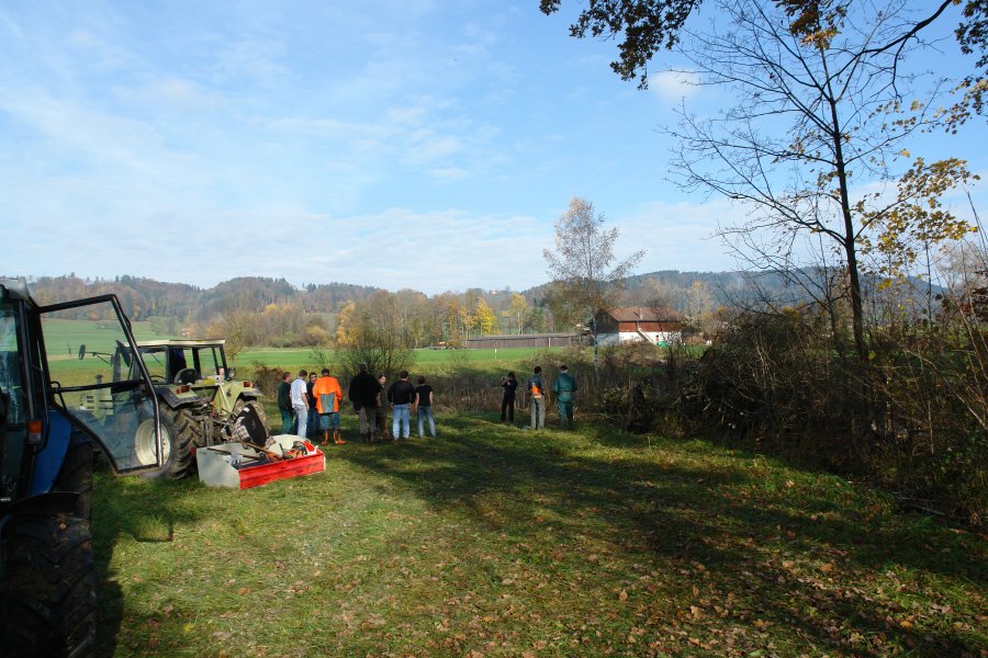 gal/diverses/Naturschutzverein/2008/Einsatz_08112008/DSC03236.JPG