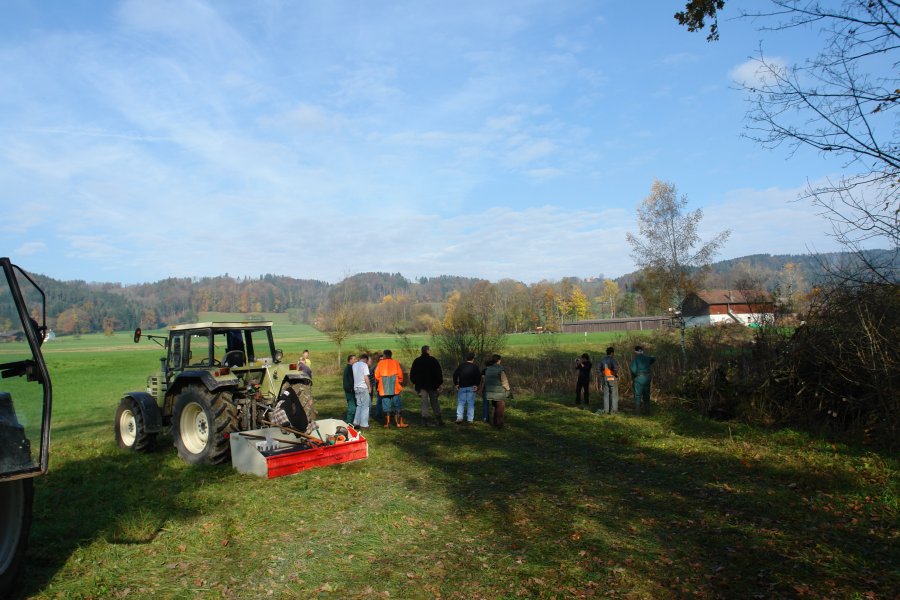 gal/diverses/Naturschutzverein/2008/Einsatz_08112008/DSC03237.JPG