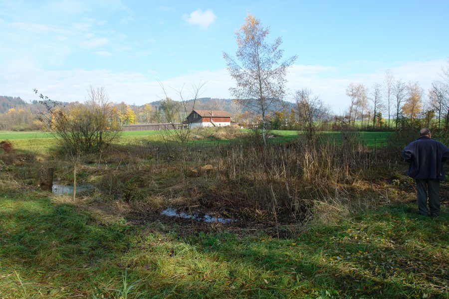 gal/diverses/Naturschutzverein/2008/Einsatz_08112008/DSC03238.JPG