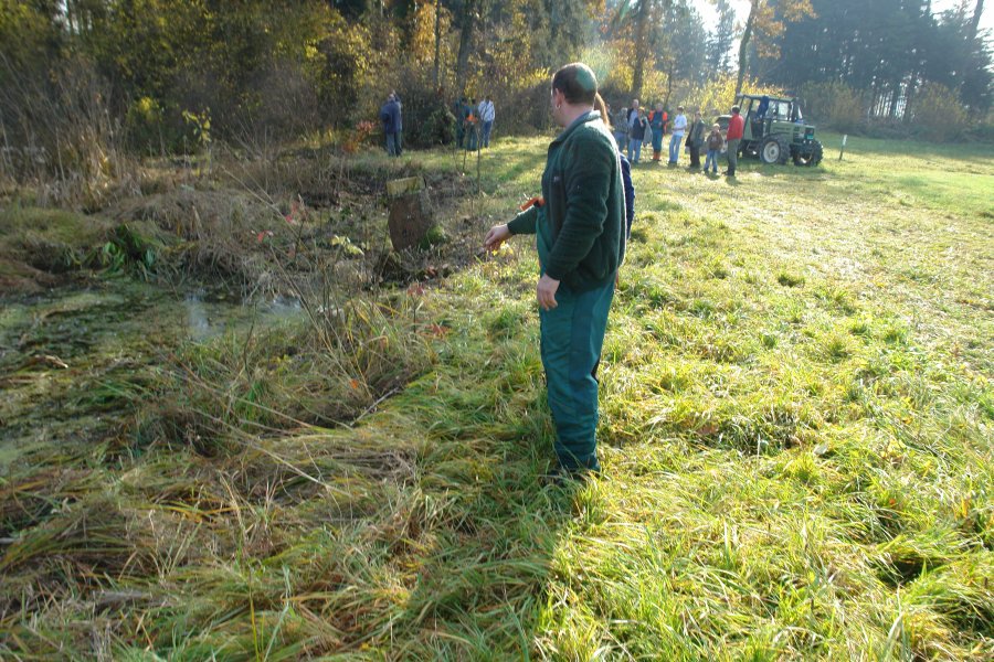 gal/diverses/Naturschutzverein/2008/Einsatz_08112008/DSC03241.JPG