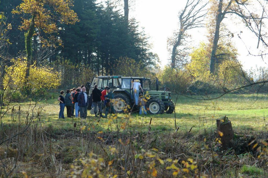 gal/diverses/Naturschutzverein/2008/Einsatz_08112008/DSC03245.JPG