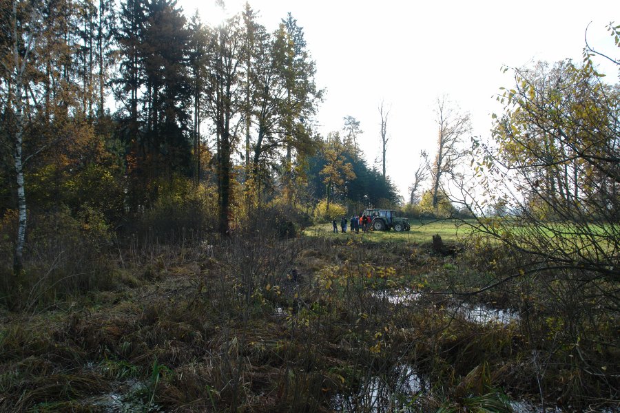 gal/diverses/Naturschutzverein/2008/Einsatz_08112008/DSC03248.JPG