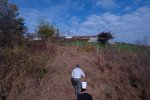 gal/diverses/Naturschutzverein/2008/Einsatz_08112008/_thb_DSC03217.JPG