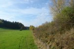 gal/diverses/Naturschutzverein/2008/Einsatz_08112008/_thb_DSC03218.JPG