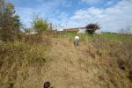 gal/diverses/Naturschutzverein/2008/Einsatz_08112008/_thb_DSC03220.JPG