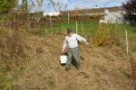 gal/diverses/Naturschutzverein/2008/Einsatz_08112008/_thb_DSC03222.JPG