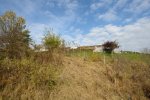 gal/diverses/Naturschutzverein/2008/Einsatz_08112008/_thb_DSC03223.JPG