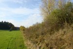gal/diverses/Naturschutzverein/2008/Einsatz_08112008/_thb_DSC03224.JPG