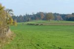 gal/diverses/Naturschutzverein/2008/Einsatz_08112008/_thb_DSC03228.JPG