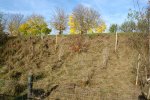 gal/diverses/Naturschutzverein/2008/Einsatz_08112008/_thb_DSC03229.JPG