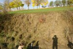 gal/diverses/Naturschutzverein/2008/Einsatz_08112008/_thb_DSC03230.JPG