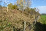 gal/diverses/Naturschutzverein/2008/Einsatz_08112008/_thb_DSC03234.JPG