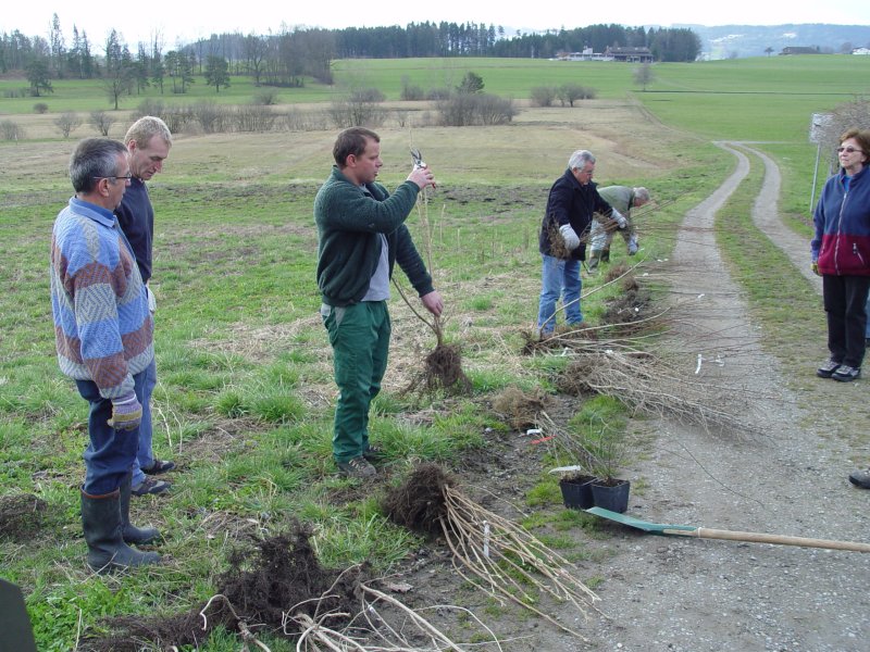 gal/diverses/Naturschutzverein/2008/Einsatz_29032008/DSC05766.JPG