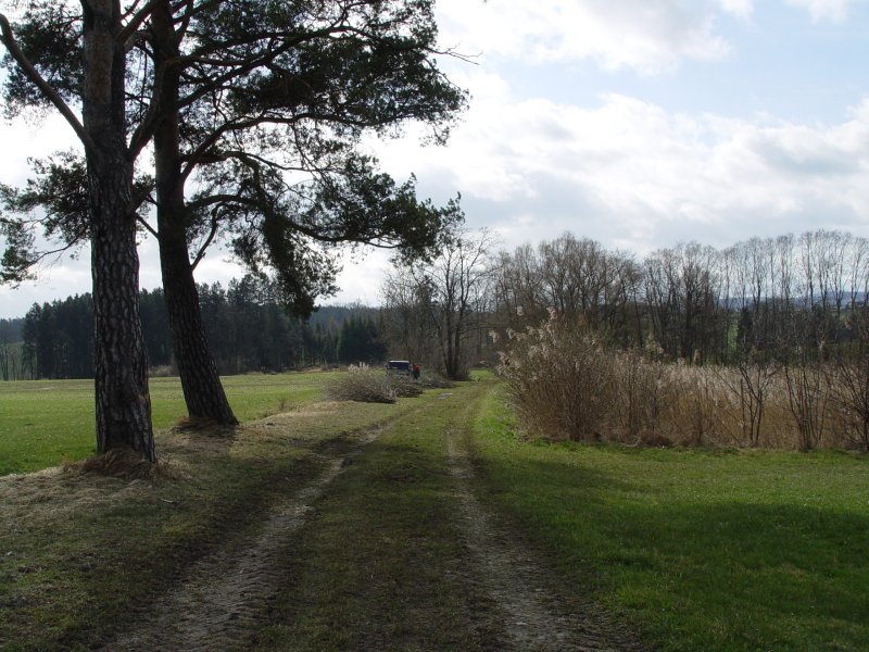 gal/diverses/Naturschutzverein/2008/Einsatz_29032008/DSC05767.JPG