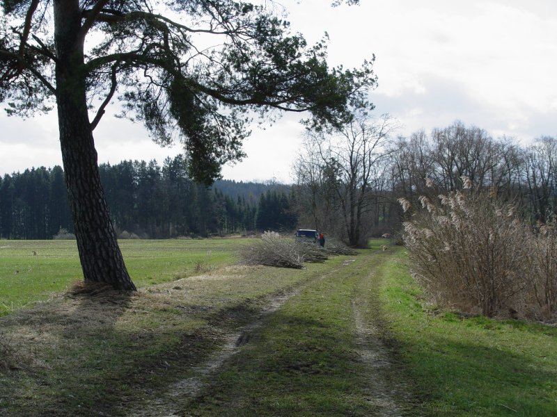 gal/diverses/Naturschutzverein/2008/Einsatz_29032008/DSC05768.JPG