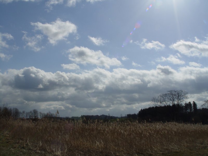 gal/diverses/Naturschutzverein/2008/Einsatz_29032008/DSC05775.JPG