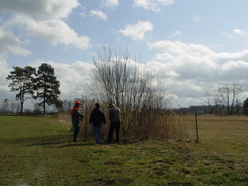 gal/diverses/Naturschutzverein/2008/Einsatz_29032008/DSC05776.JPG