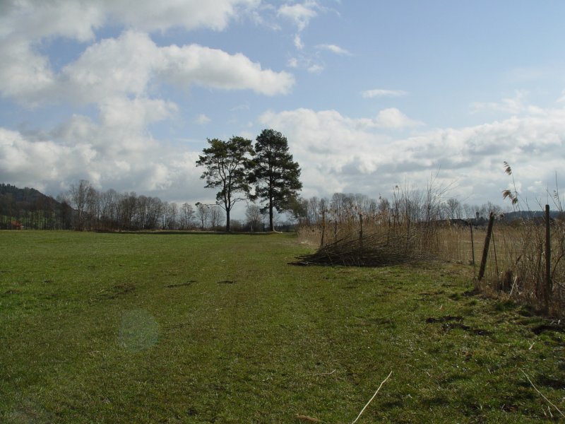 gal/diverses/Naturschutzverein/2008/Einsatz_29032008/DSC05779.JPG