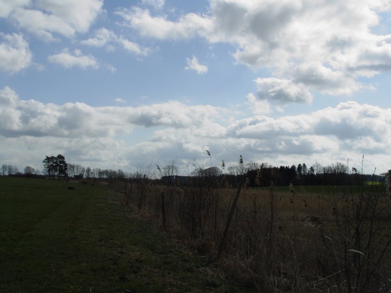gal/diverses/Naturschutzverein/2008/Einsatz_29032008/DSC05785.JPG