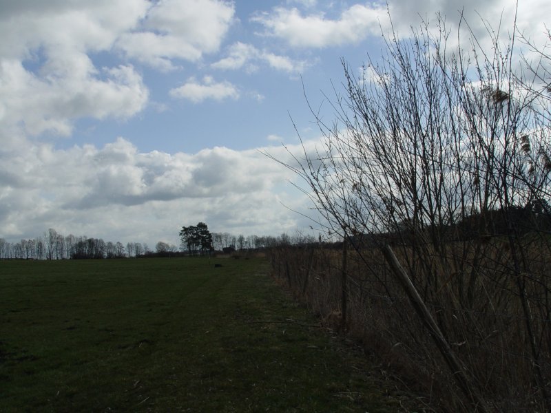 gal/diverses/Naturschutzverein/2008/Einsatz_29032008/DSC05786.JPG