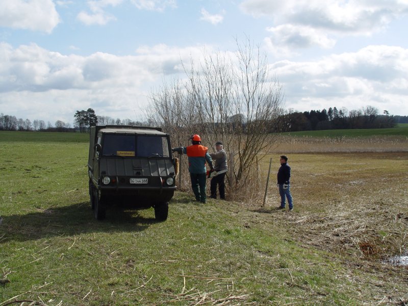 gal/diverses/Naturschutzverein/2008/Einsatz_29032008/DSC05787.JPG
