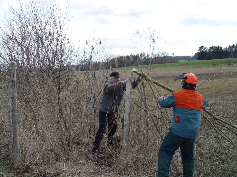gal/diverses/Naturschutzverein/2008/Einsatz_29032008/DSC05788.JPG