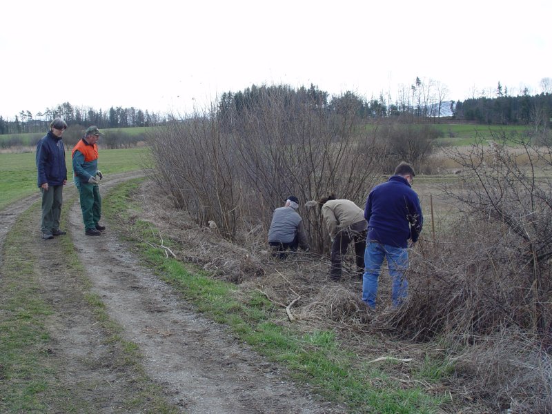 gal/diverses/Naturschutzverein/2008/Einsatz_29032008/DSC05796.JPG